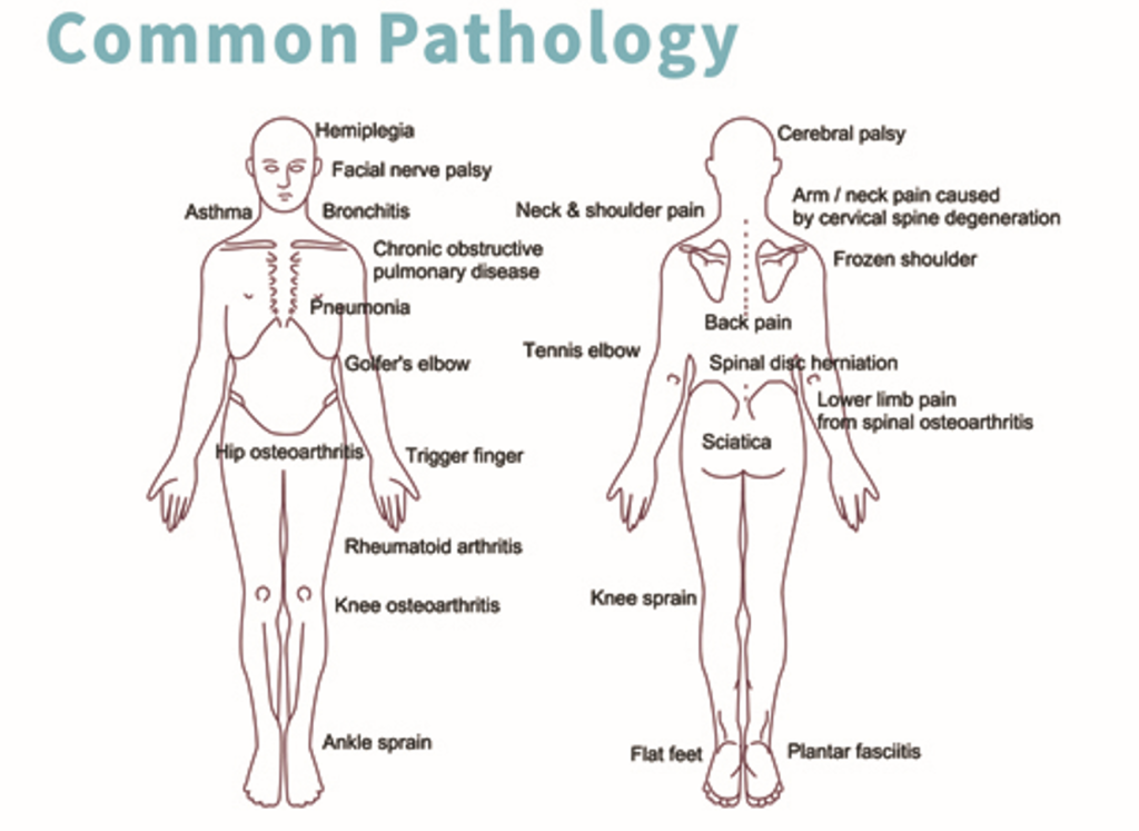 commonpathologu